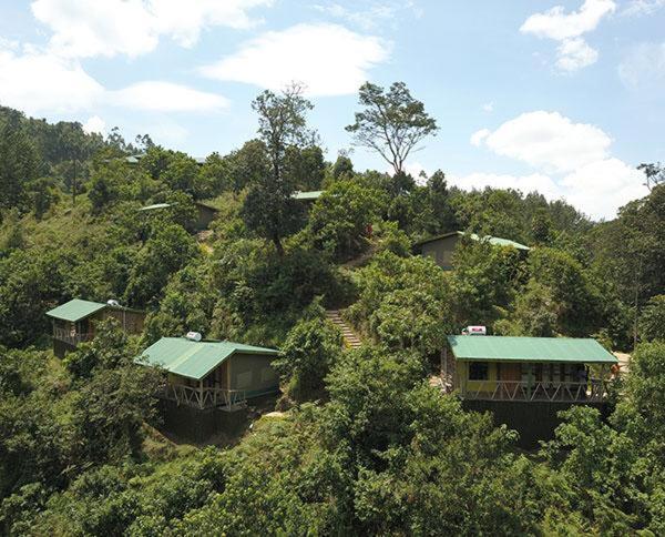 Gorilla Hills Eco-Lodge Kisoro Kültér fotó
