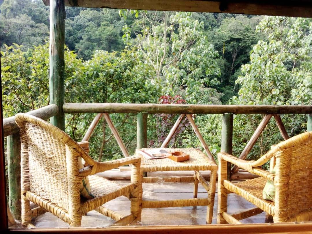 Gorilla Hills Eco-Lodge Kisoro Kültér fotó