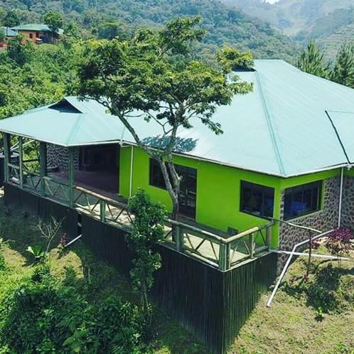 Gorilla Hills Eco-Lodge Kisoro Kültér fotó