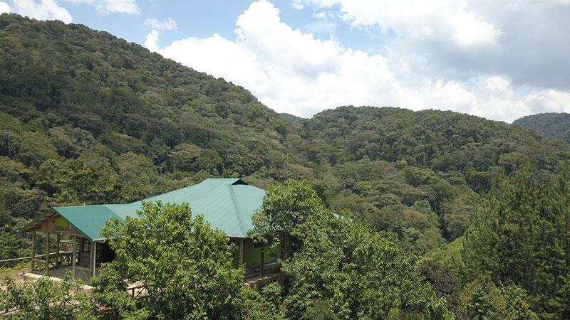 Gorilla Hills Eco-Lodge Kisoro Kültér fotó