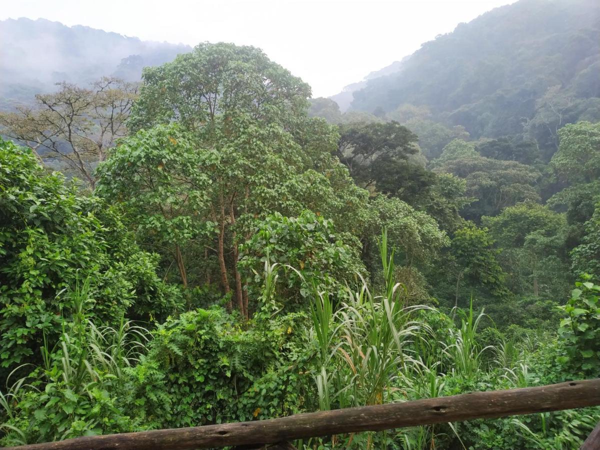 Gorilla Hills Eco-Lodge Kisoro Kültér fotó