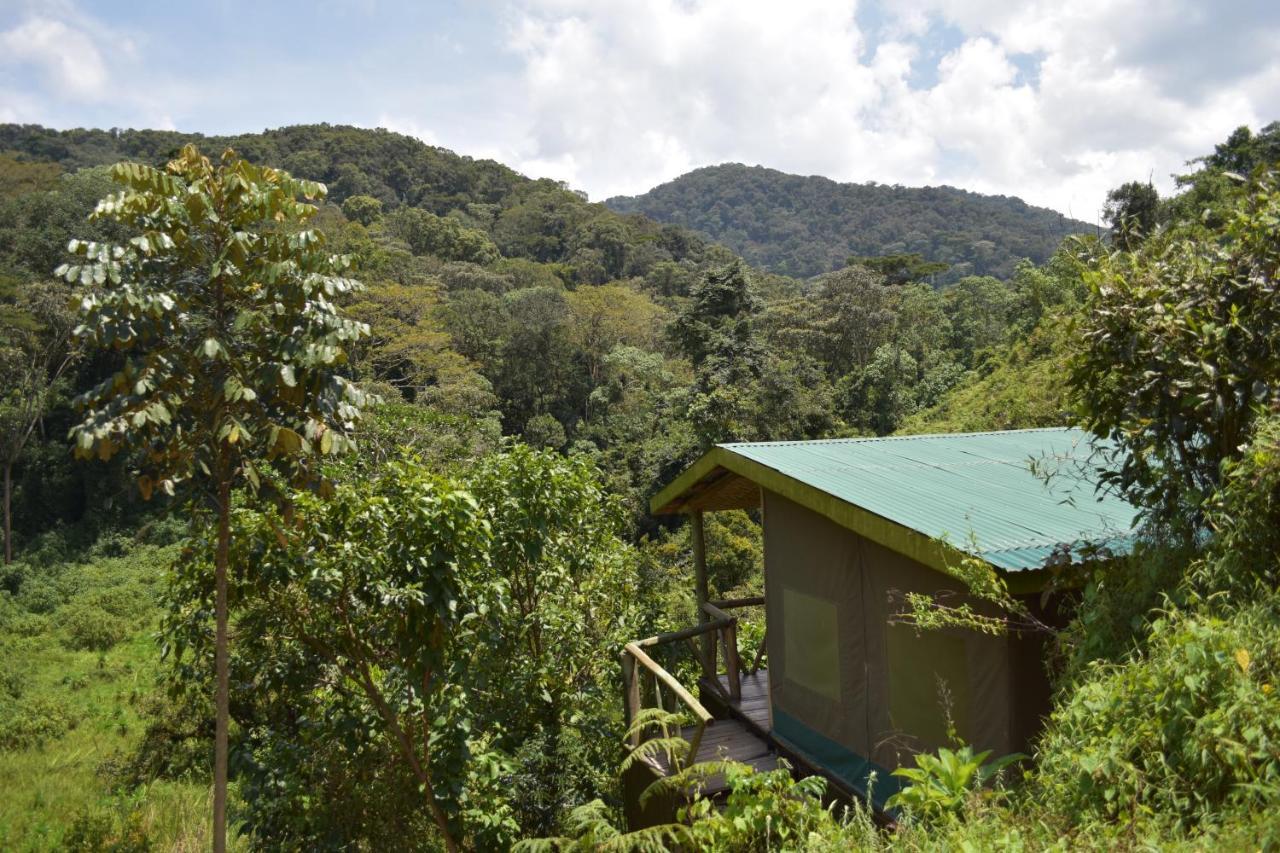 Gorilla Hills Eco-Lodge Kisoro Kültér fotó
