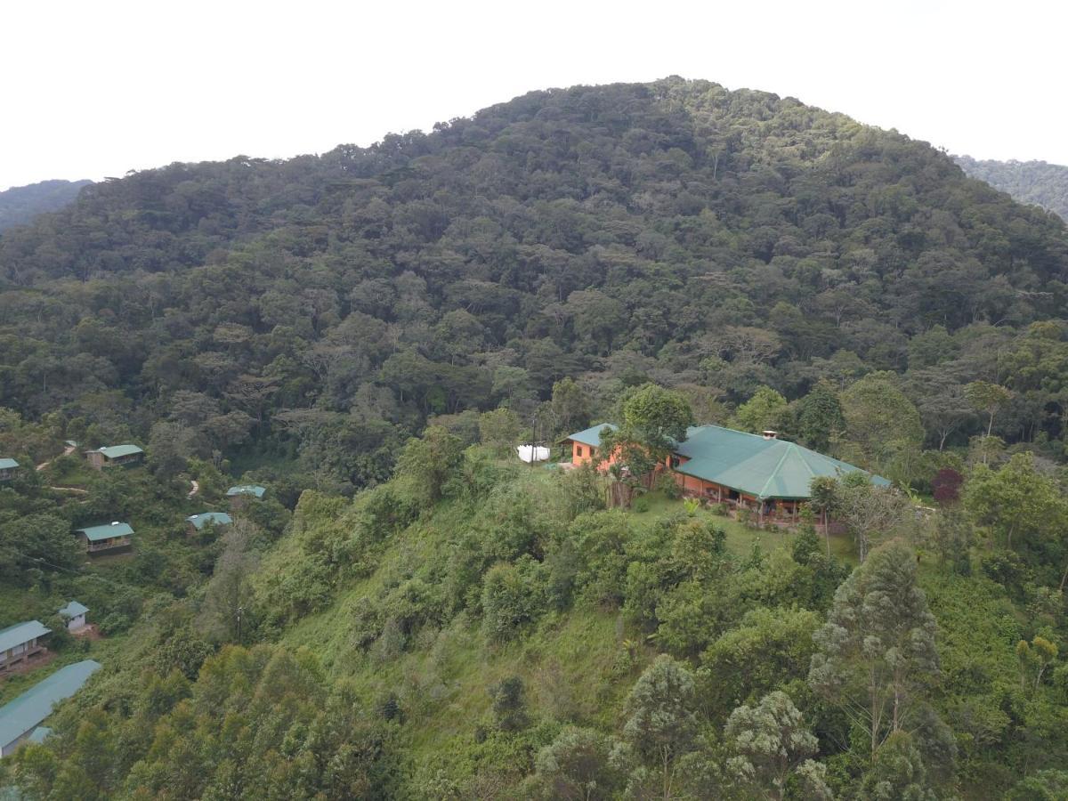 Gorilla Hills Eco-Lodge Kisoro Kültér fotó