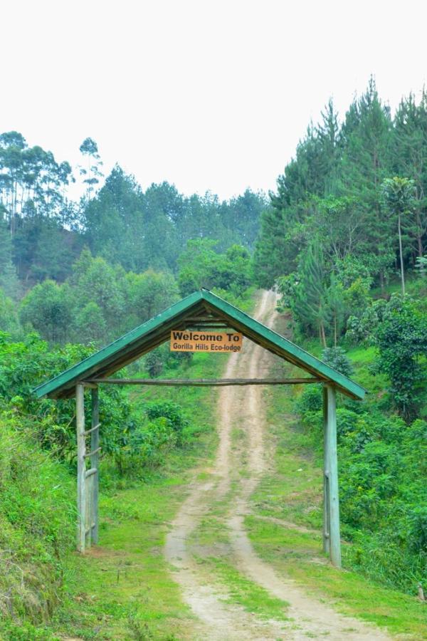 Gorilla Hills Eco-Lodge Kisoro Kültér fotó